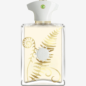 בושם אמואג' בראקן AMOUAGE Bracken Man